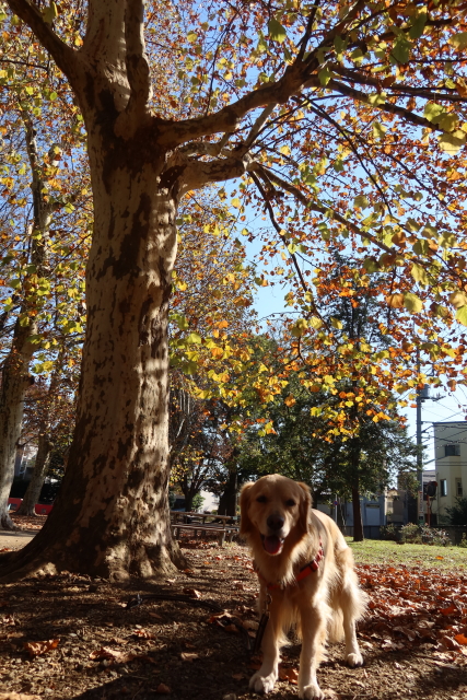 ファイル 8213-4.jpg