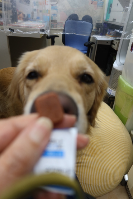 ファイル 8213-5.jpg