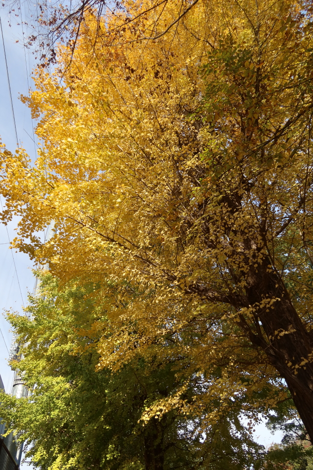 ファイル 8214-2.jpg