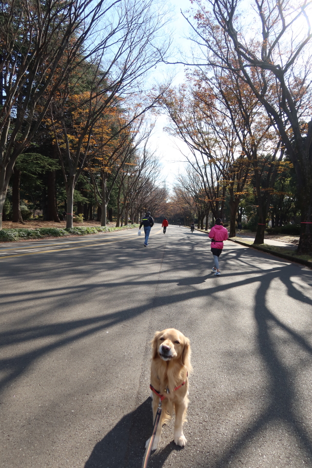 ファイル 8214-5.jpg