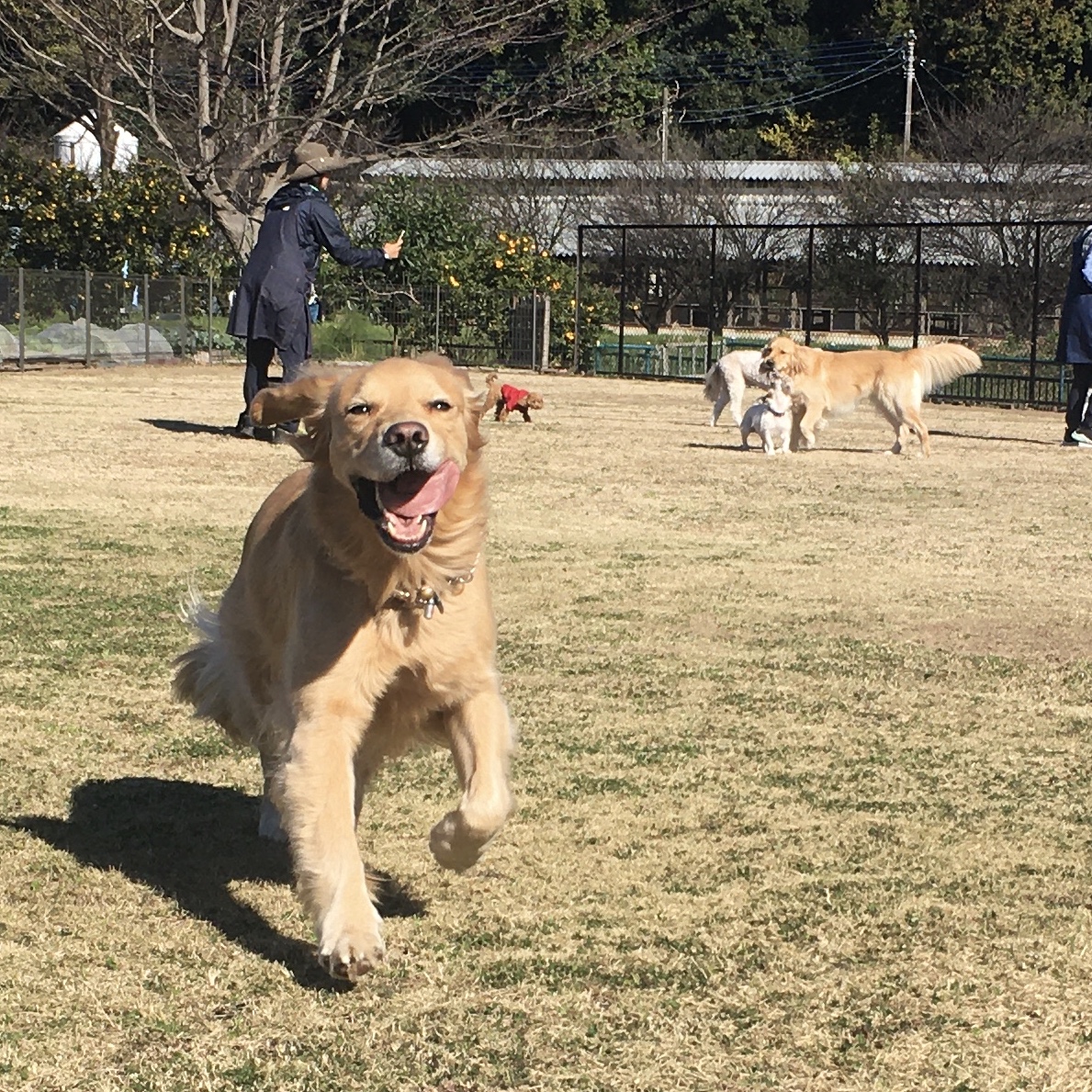 ファイル 8215-2.jpeg