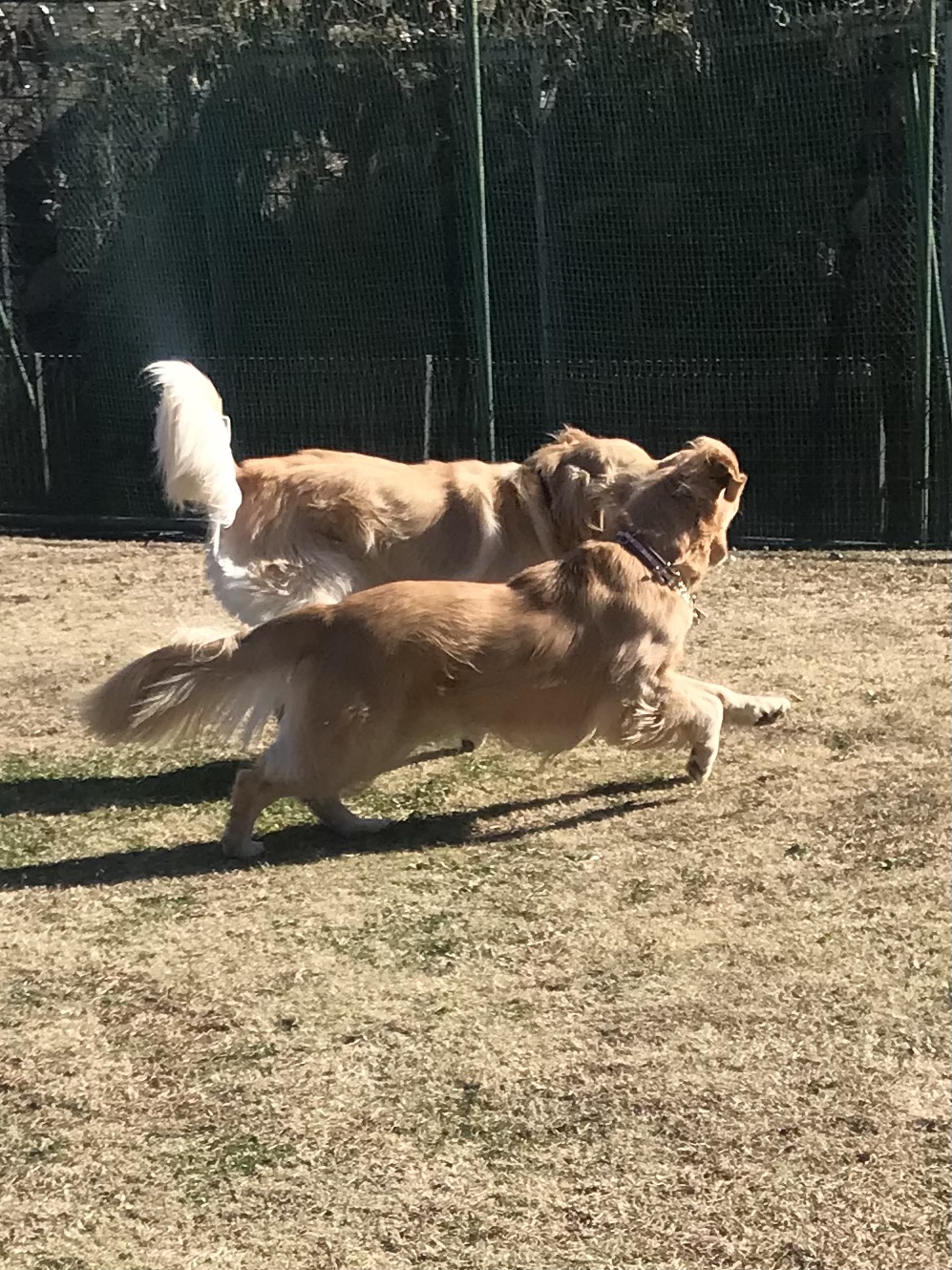 ファイル 8215-3.jpeg