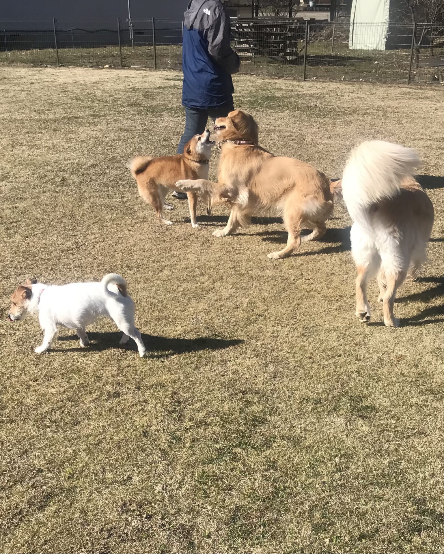 ファイル 8215-4.jpeg