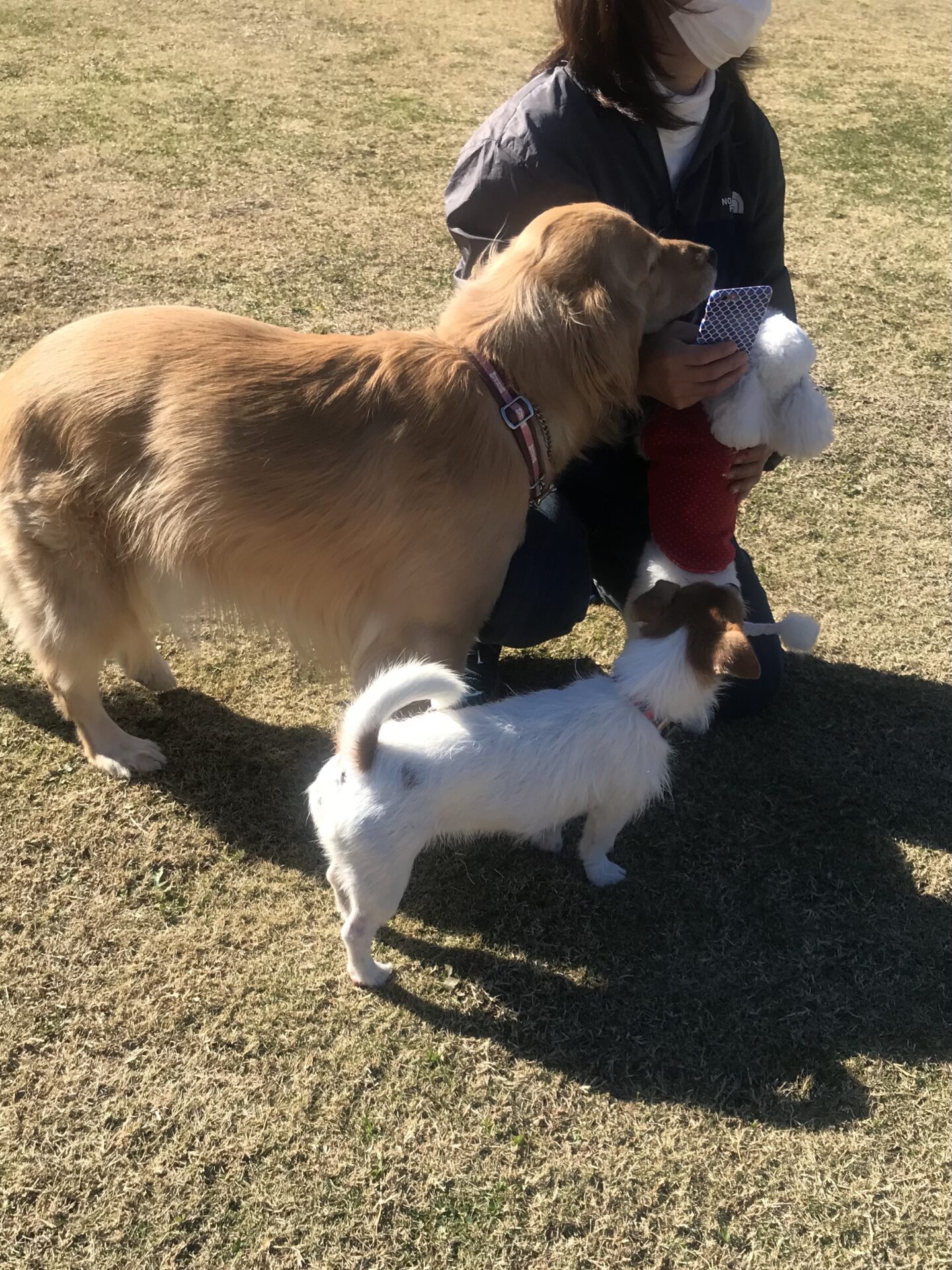 ファイル 8215-5.jpeg