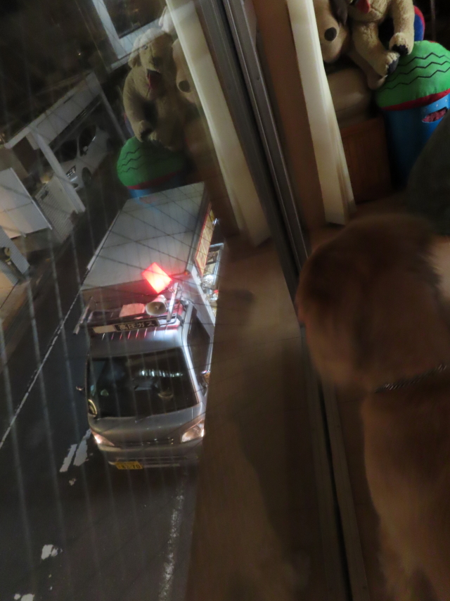 ファイル 8217-1.jpg