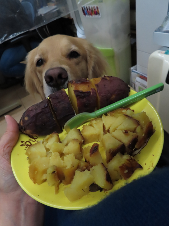 ファイル 8217-2.jpg