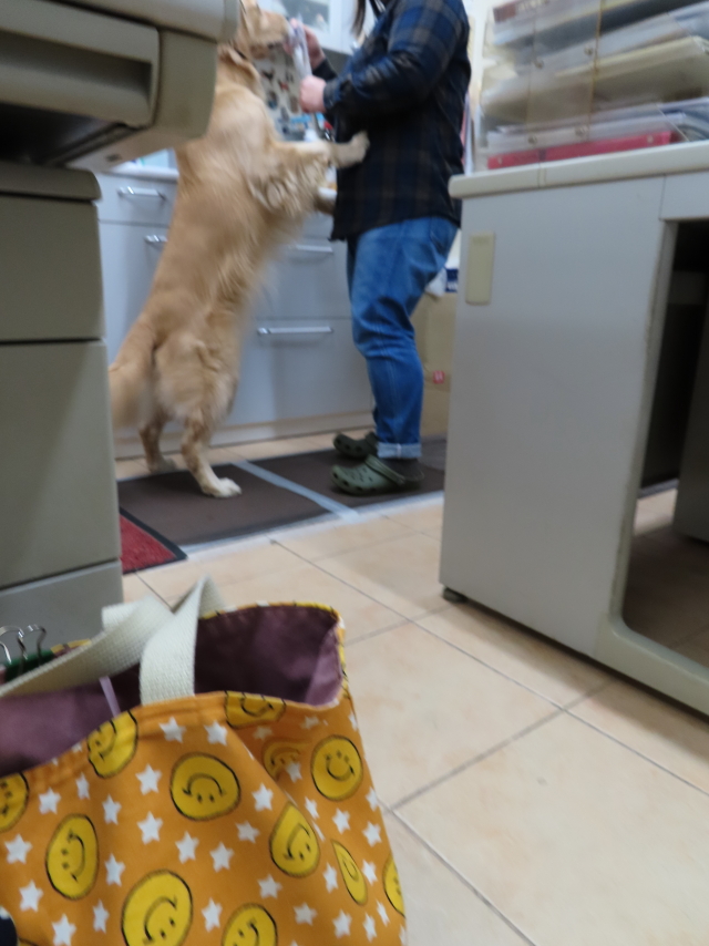 ファイル 8219-2.jpg