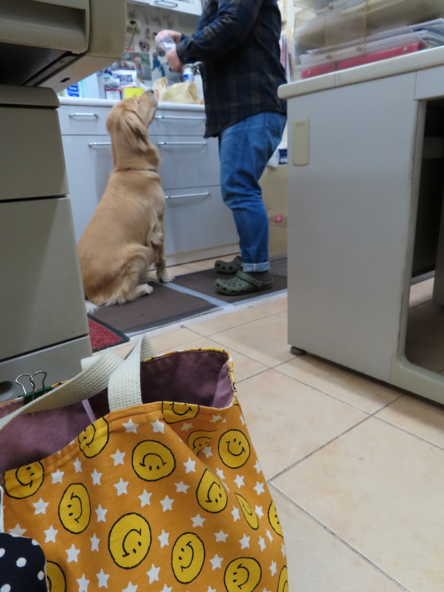 ファイル 8219-3.jpg