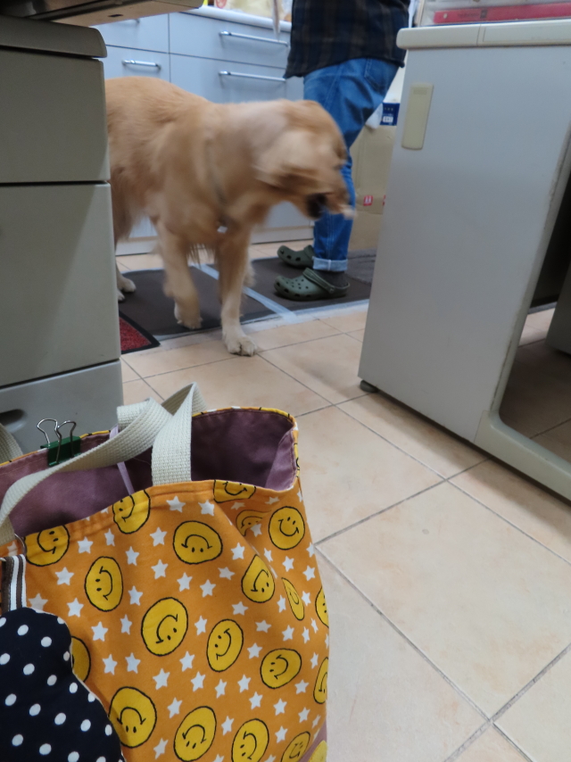 ファイル 8219-4.jpg