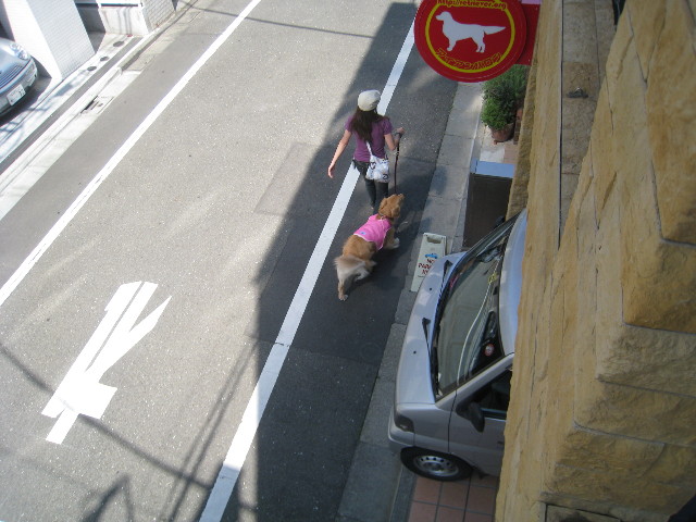 ファイル 822-1.jpg