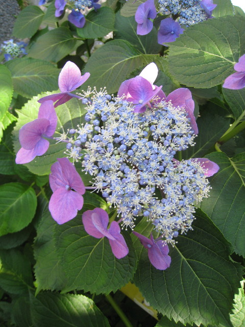 ファイル 822-2.jpg