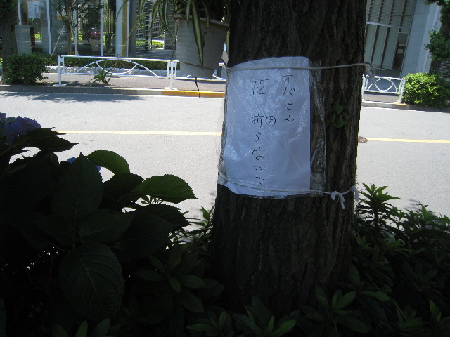 ファイル 822-3.jpg