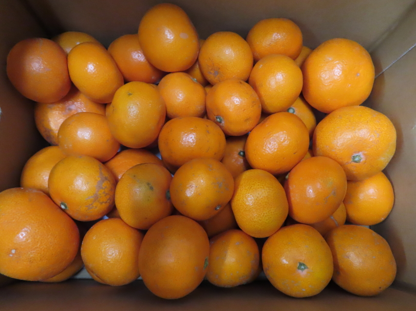 ファイル 8220-3.jpg