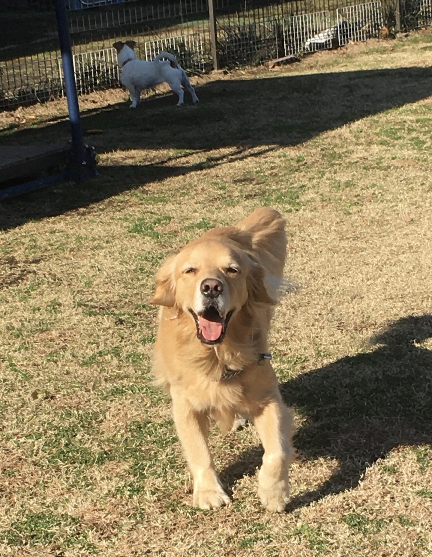 ファイル 8222-2.jpeg