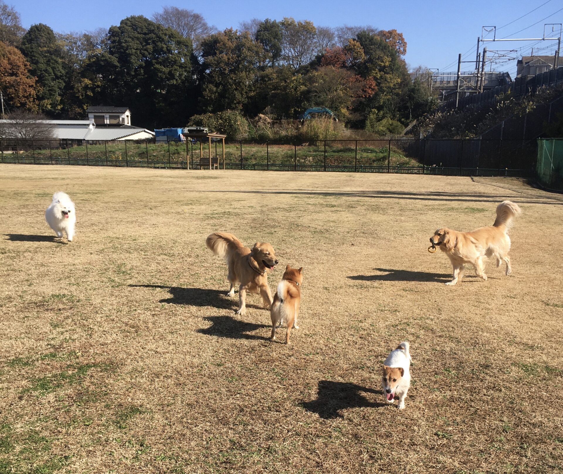 ファイル 8222-4.jpeg