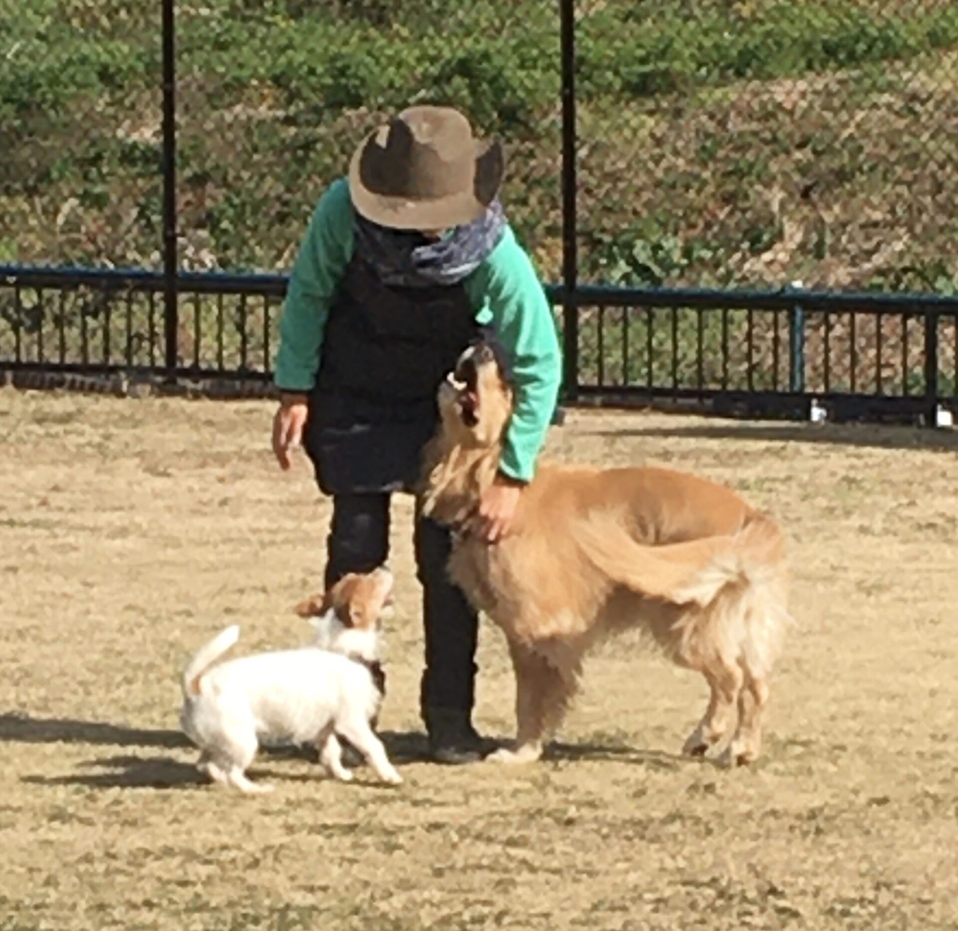 ファイル 8222-5.jpeg