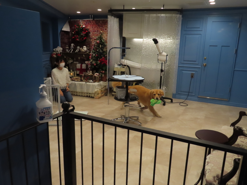 ファイル 8223-1.jpg