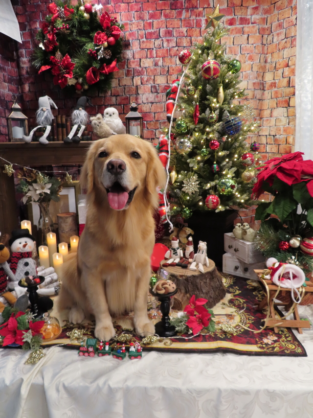 ファイル 8223-2.jpg