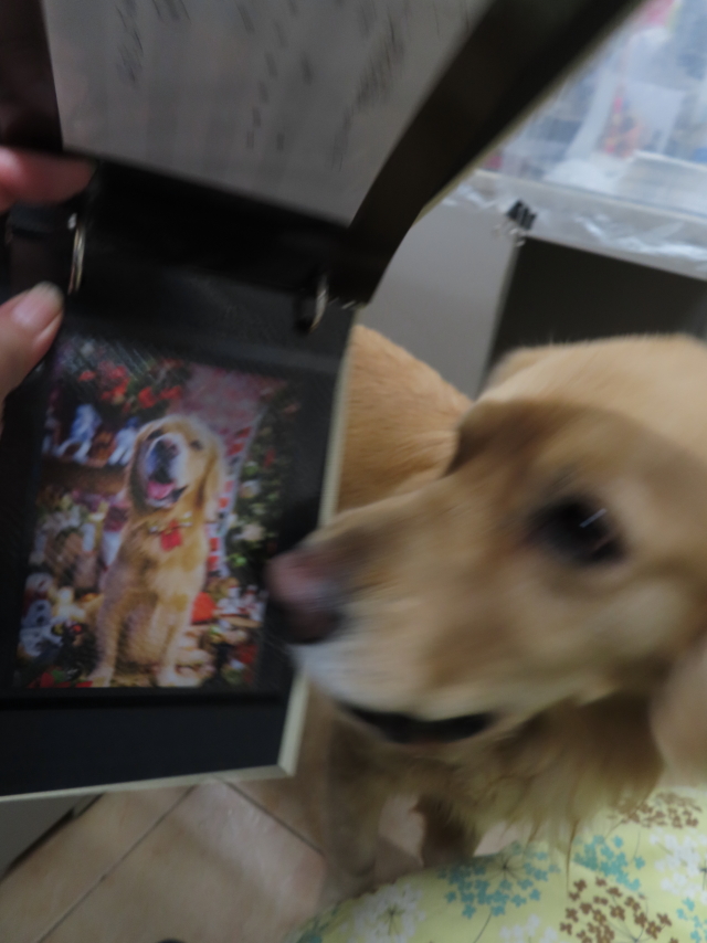 ファイル 8223-3.jpg