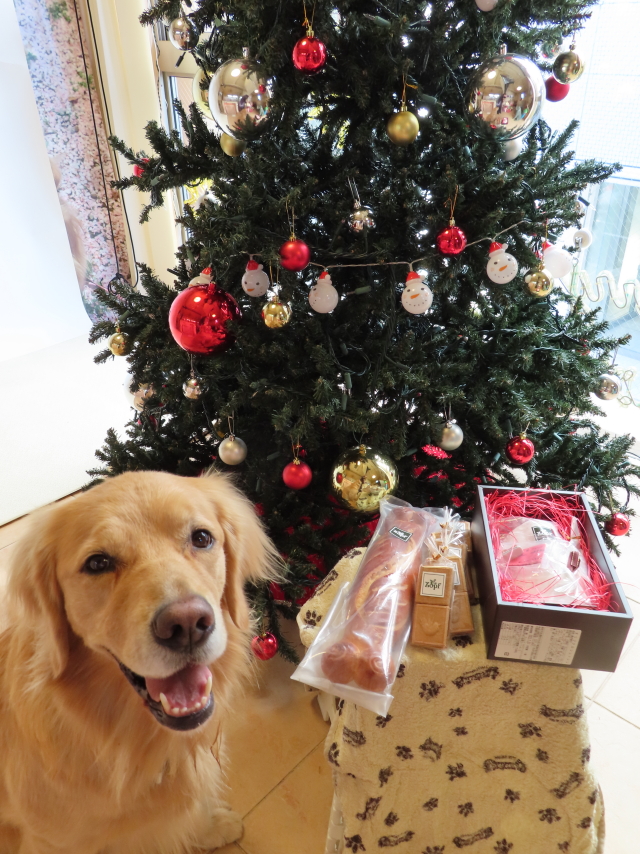 ファイル 8223-4.jpg