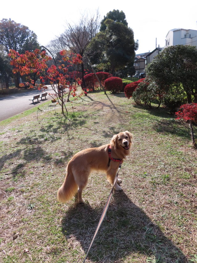 ファイル 8224-3.jpg