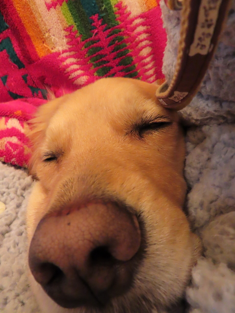 ファイル 8226-3.jpg