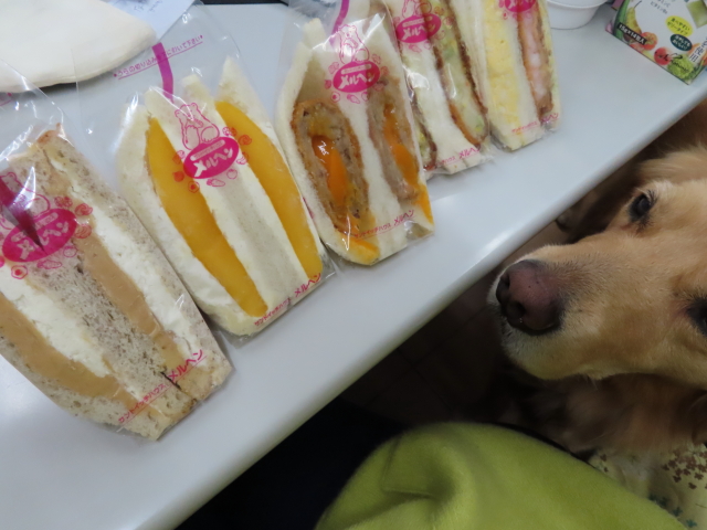 ファイル 8227-2.jpg