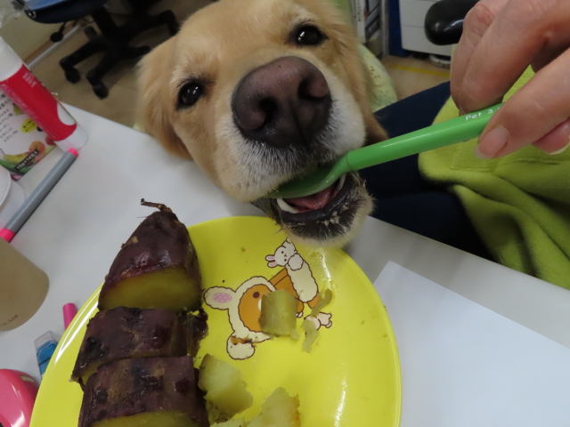 ファイル 8228-2.jpg