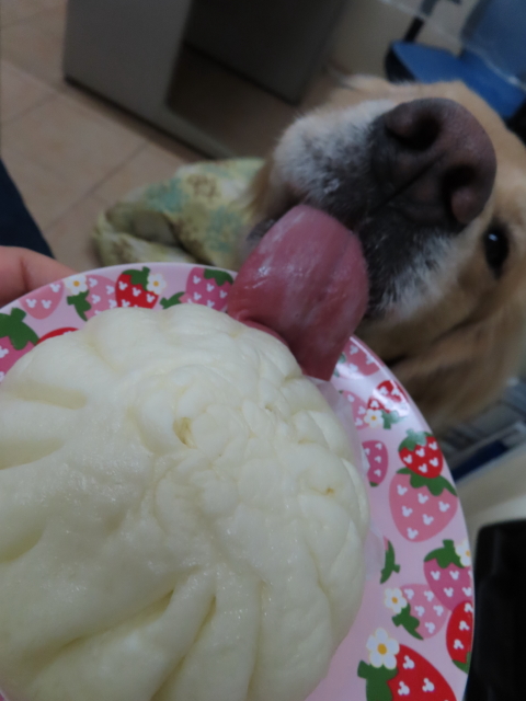 ファイル 8228-3.jpg