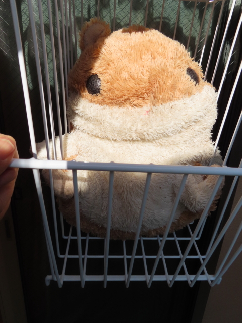 ファイル 8230-1.jpg