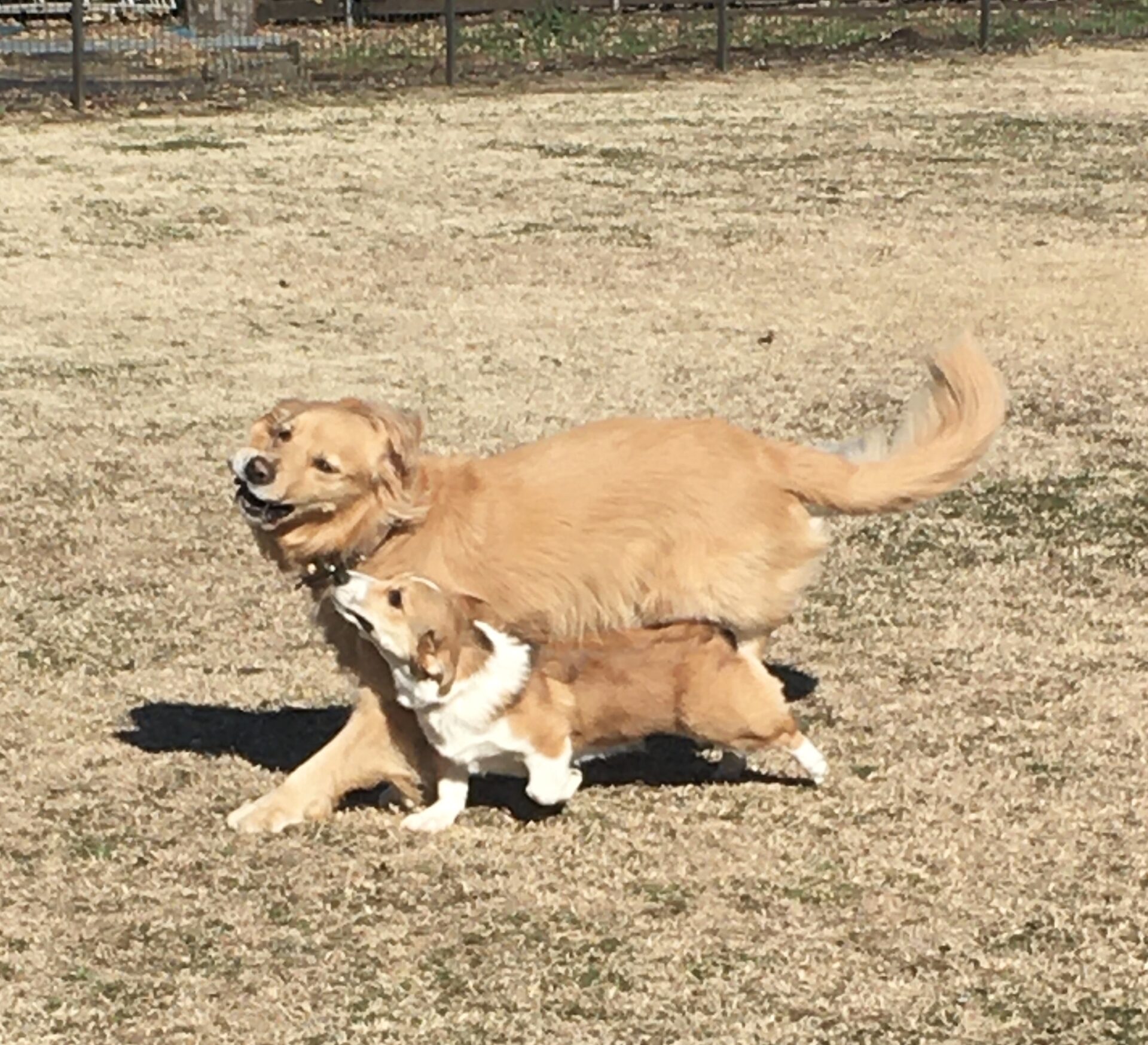 ファイル 8234-2.jpeg