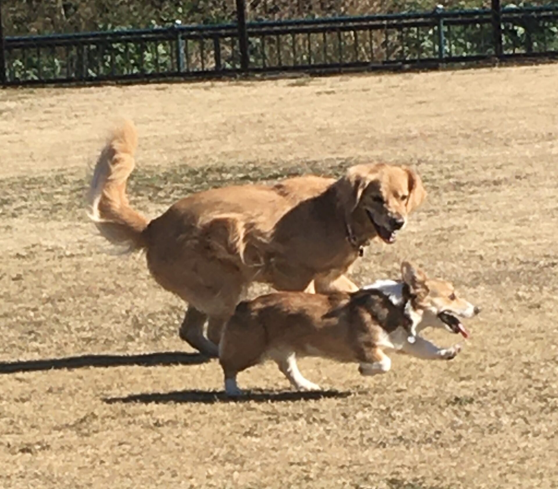 ファイル 8234-3.jpeg