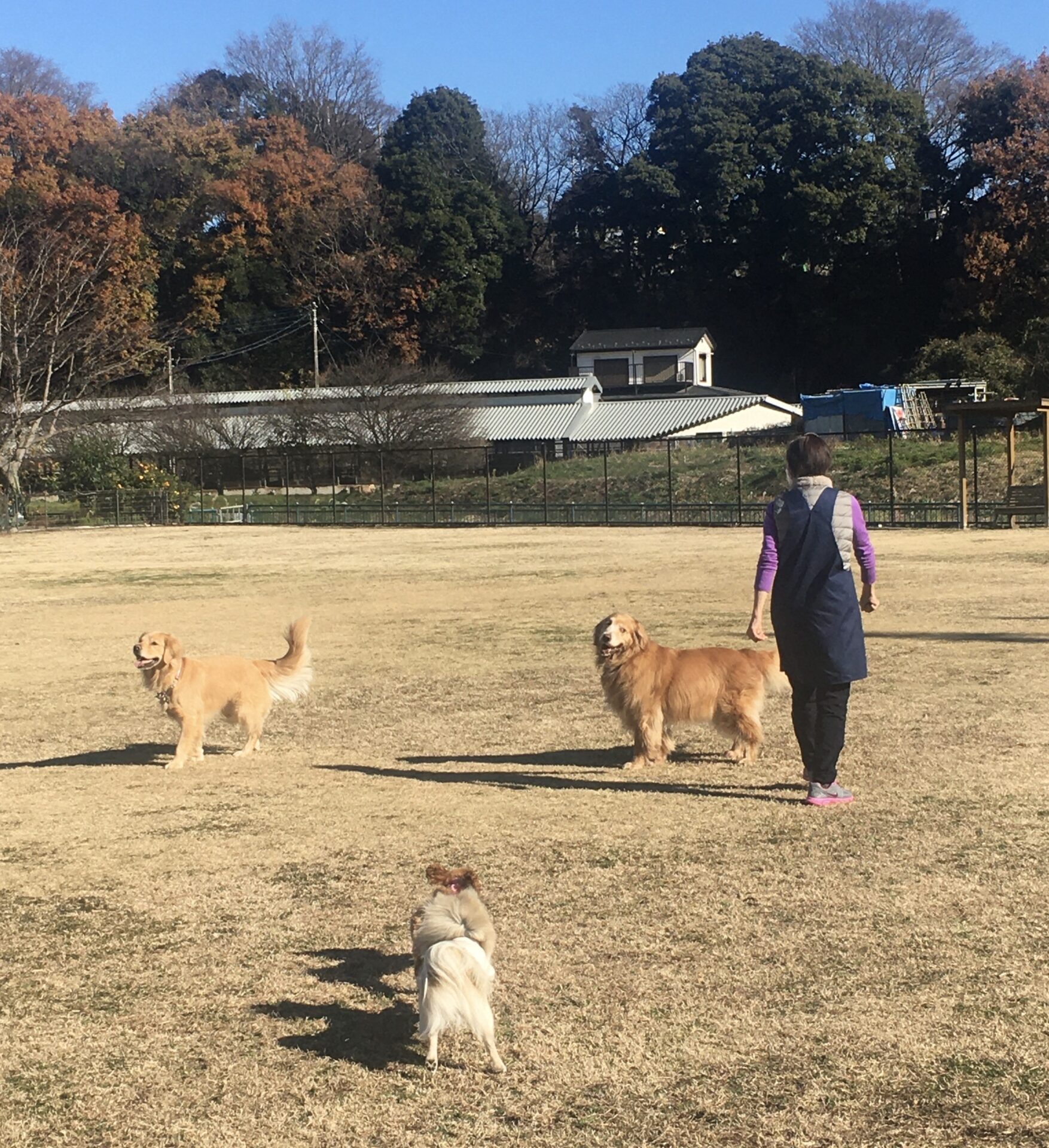 ファイル 8234-4.jpeg