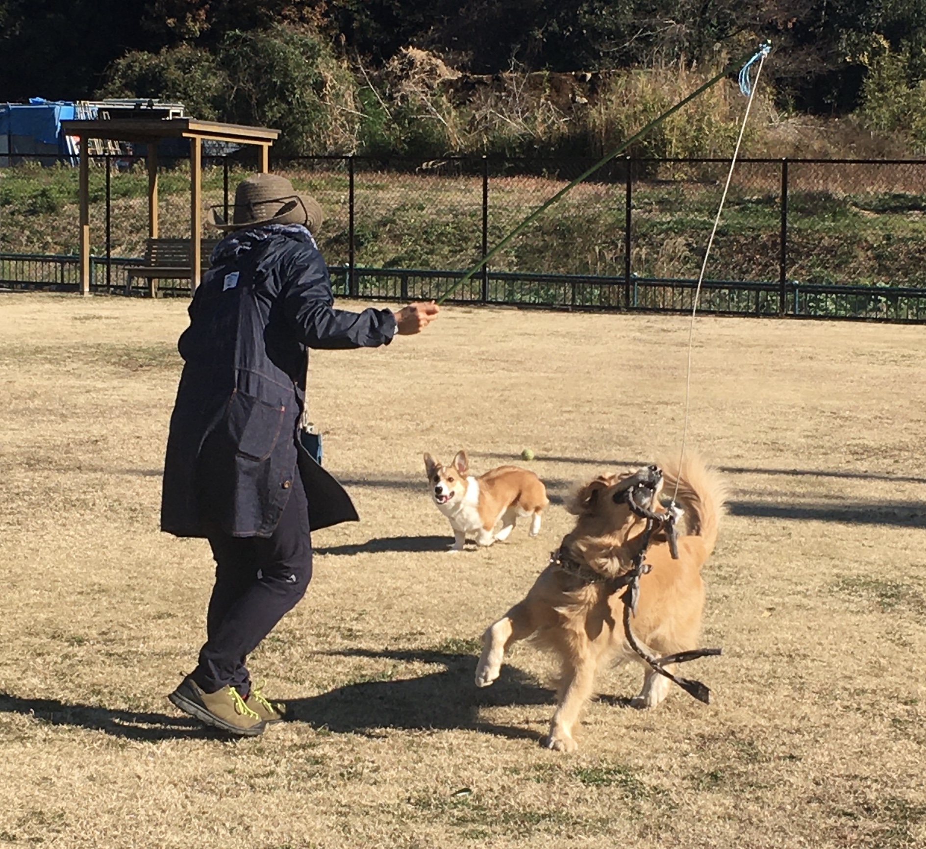 ファイル 8234-5.jpeg