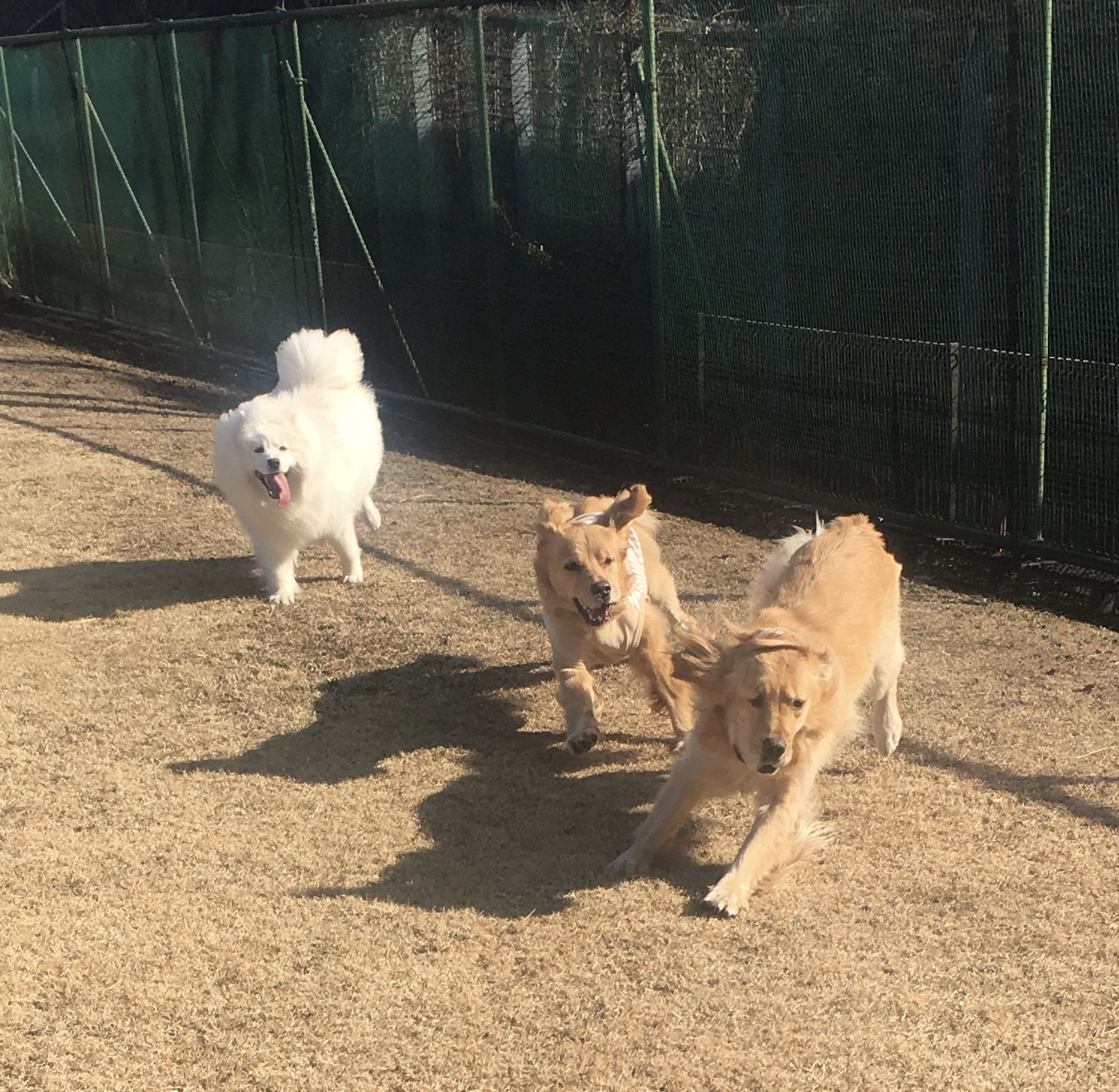 ファイル 8236-4.jpeg