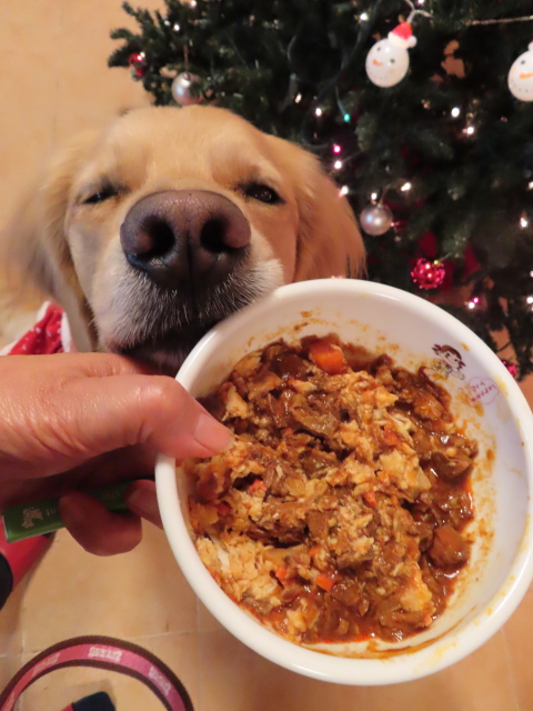 ファイル 8237-3.jpg