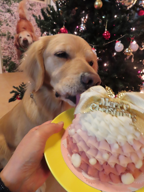 ファイル 8237-5.jpg