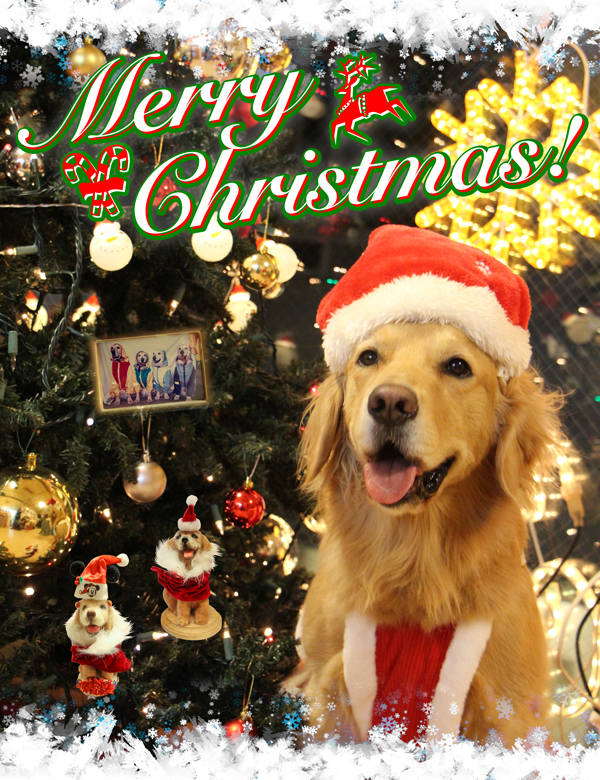 ファイル 8238-1.jpg