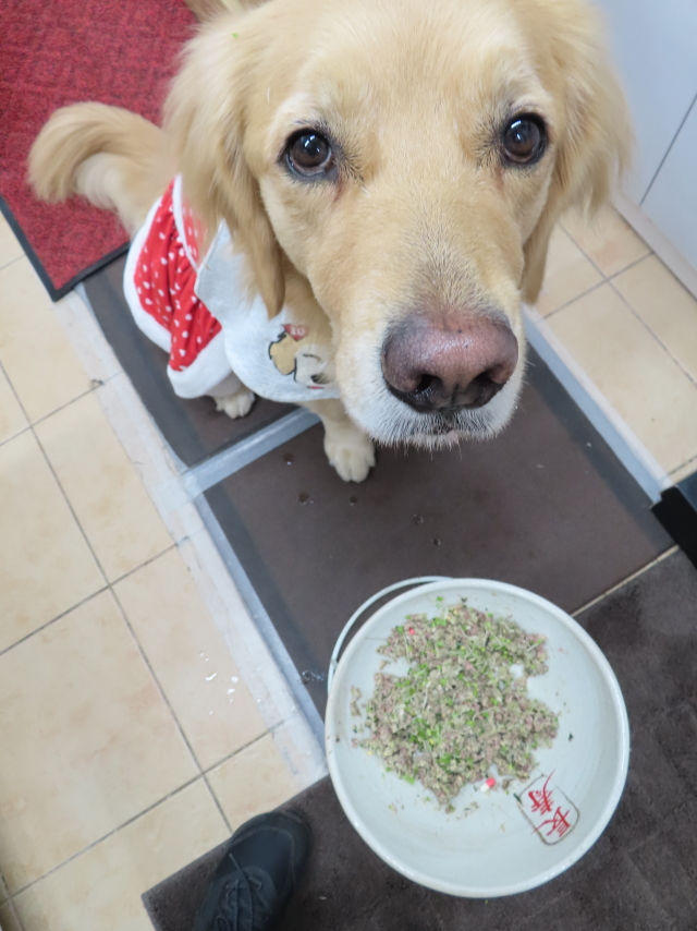 ファイル 8238-3.jpg