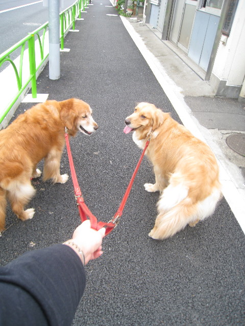 ファイル 824-3.jpg