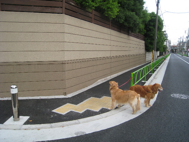 ファイル 824-4.jpg