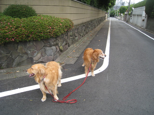 ファイル 824-5.jpg