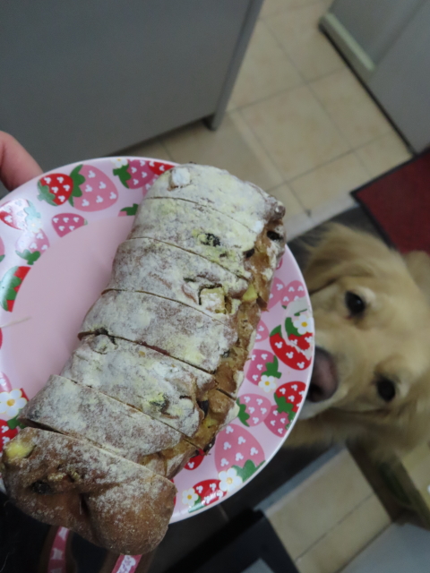 ファイル 8240-1.jpg