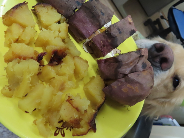 ファイル 8245-1.jpg