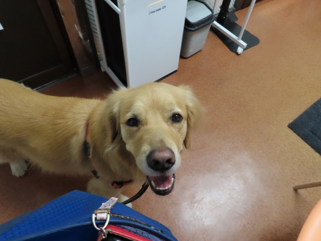 ファイル 8245-3.jpg