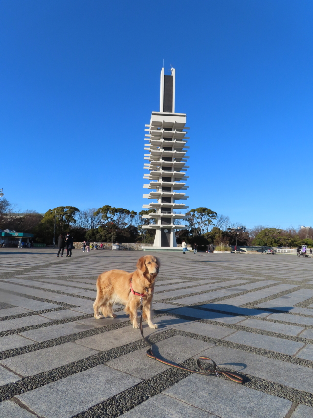 ファイル 8245-4.jpg