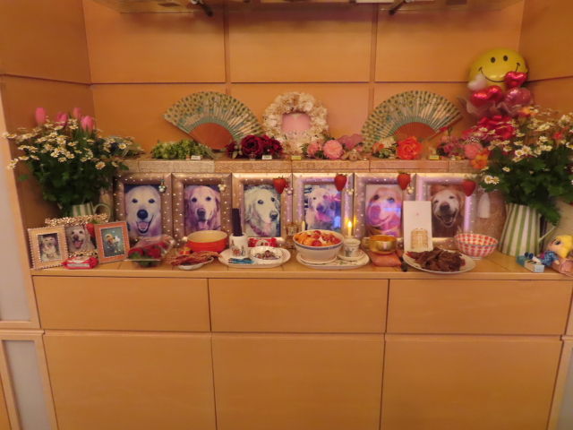 ファイル 8247-3.jpg