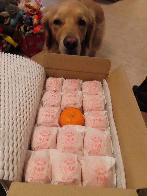 ファイル 8248-5.jpg