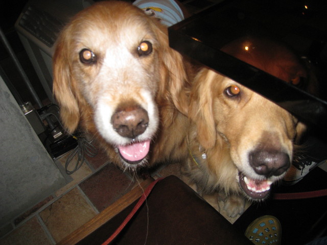 ファイル 825-5.jpg