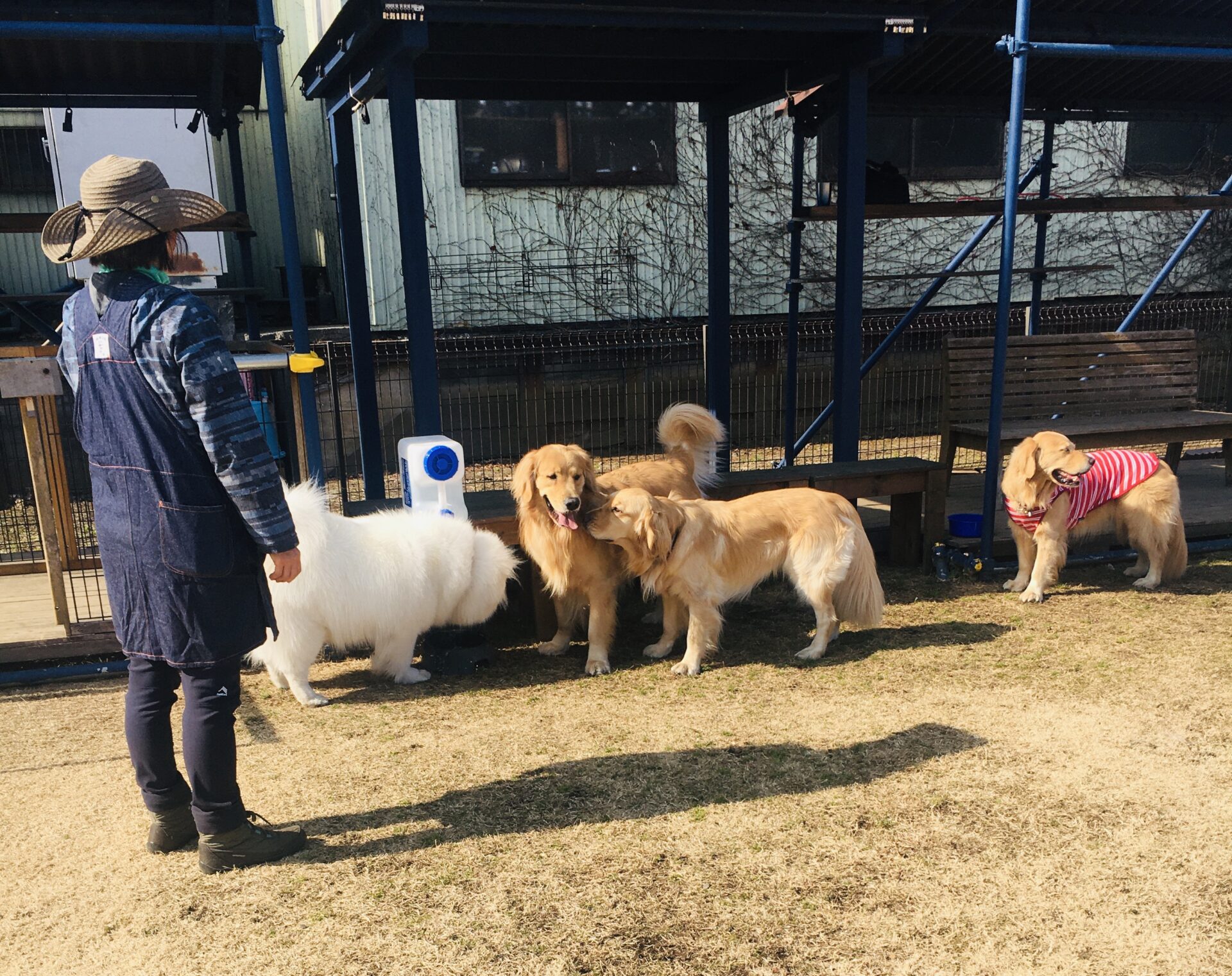 ファイル 8253-2.jpeg